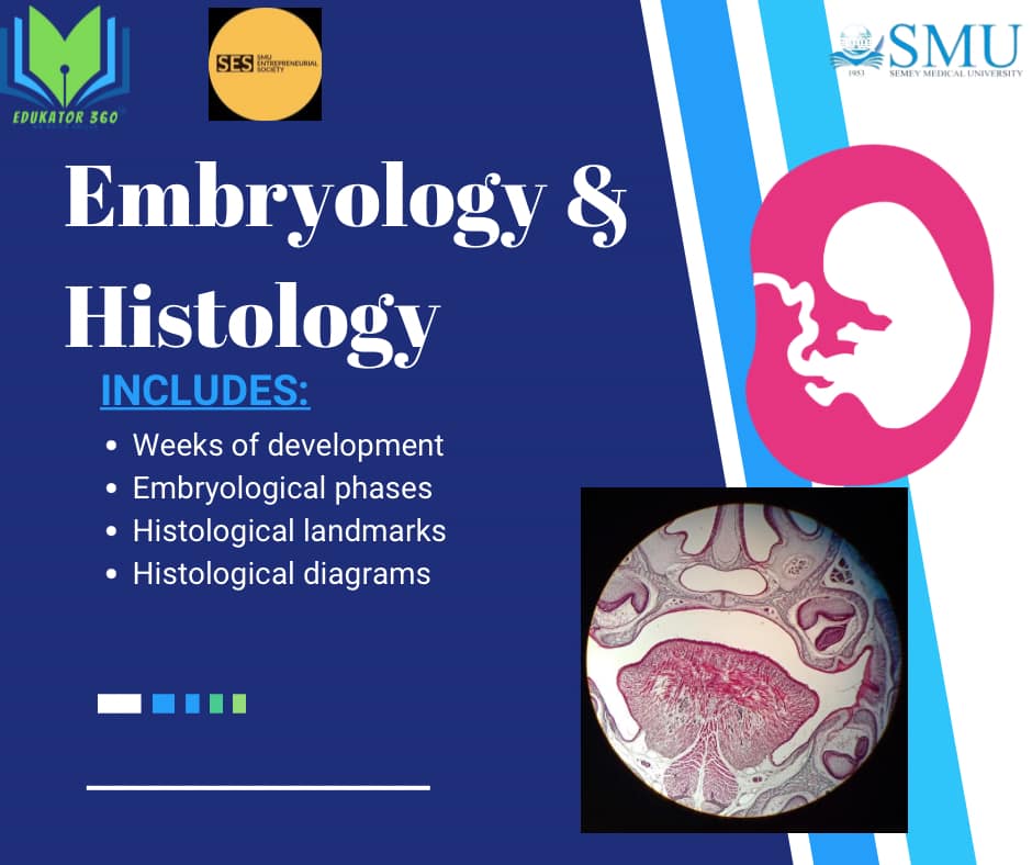 Embryology & Histology