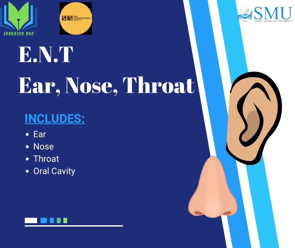 E.N.T (Ear, Nose, Throat)